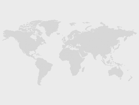 2006