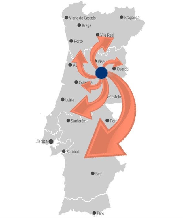 mrg considerada uma empresa de referência