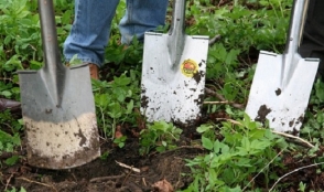 Support to new farmers pluck today 