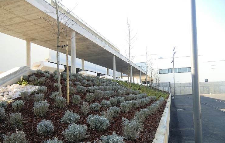 Escola Secundária de Estarreja