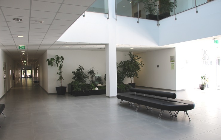Centro de Neurociências e Biologia Celular da Universidade de Coimbra (CNC)