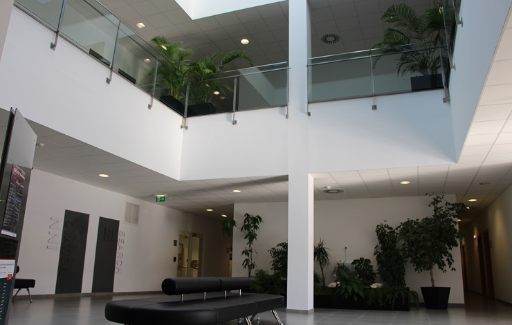 Centro de Neurociências e Biologia Celular da Universidade de Coimbra (CNC)