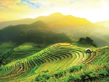 Environment